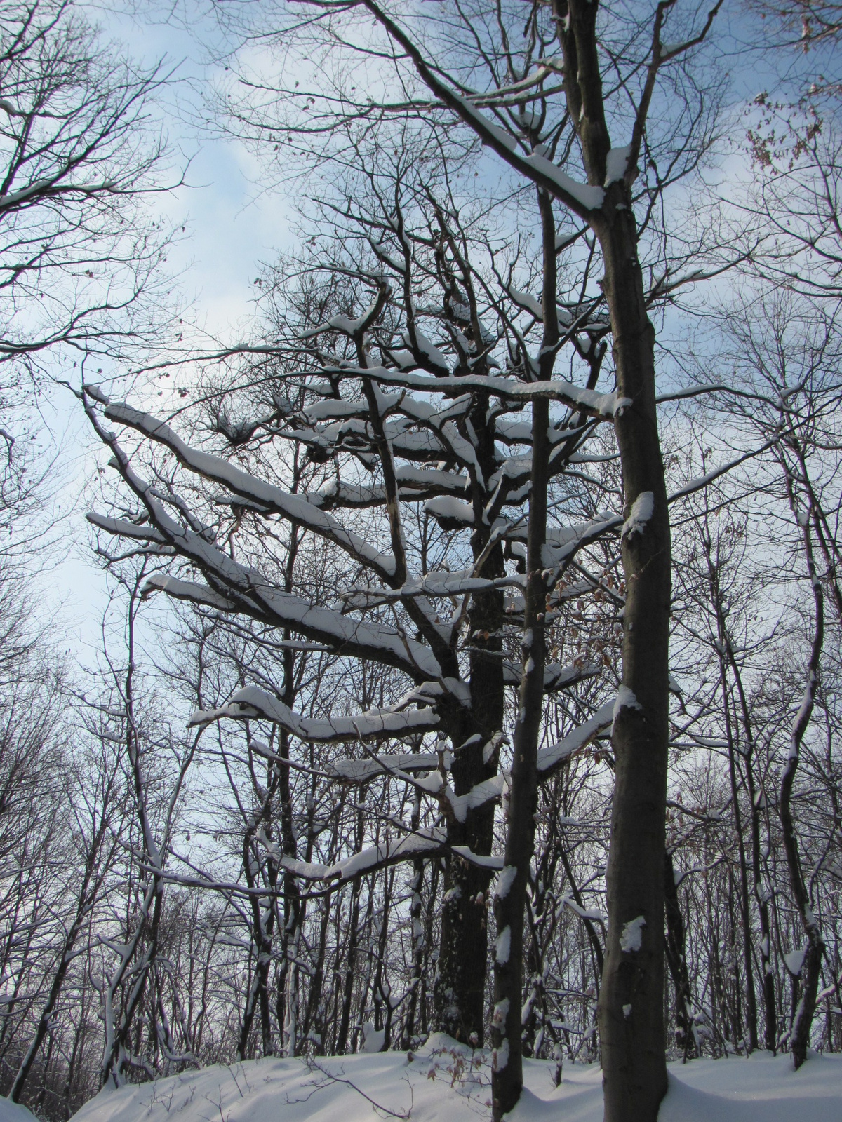 2012.02.05.Vékény-Hosszúhetény 082