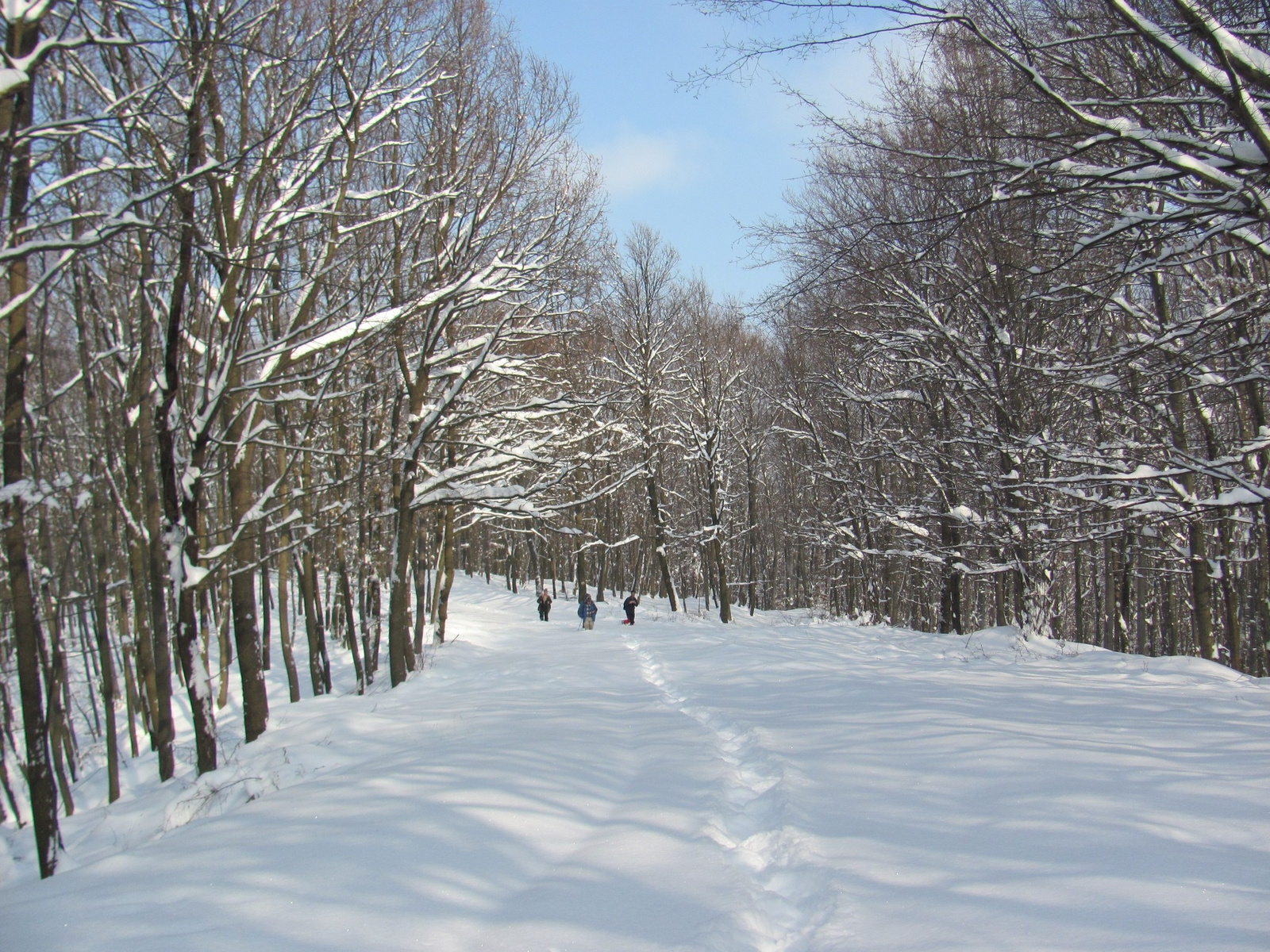 2012.02.05.Vékény-Hosszúhetény 086