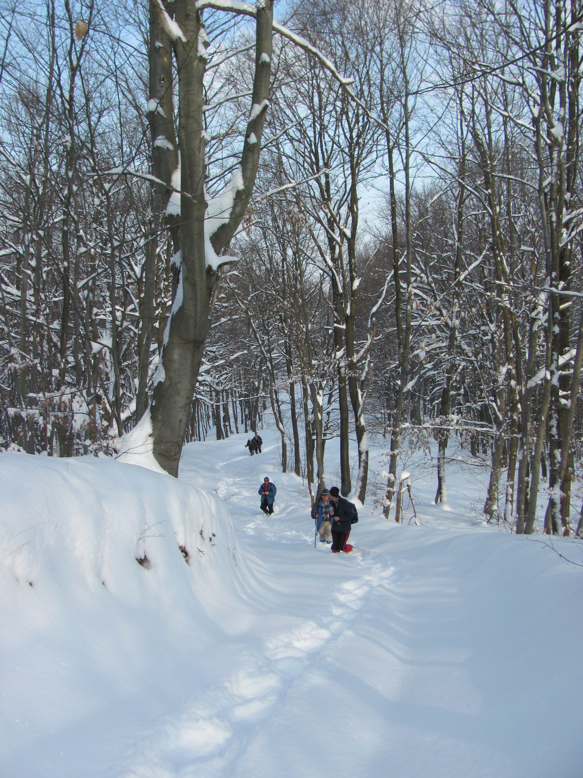 2012.02.05.Vékény-Hosszúhetény 088