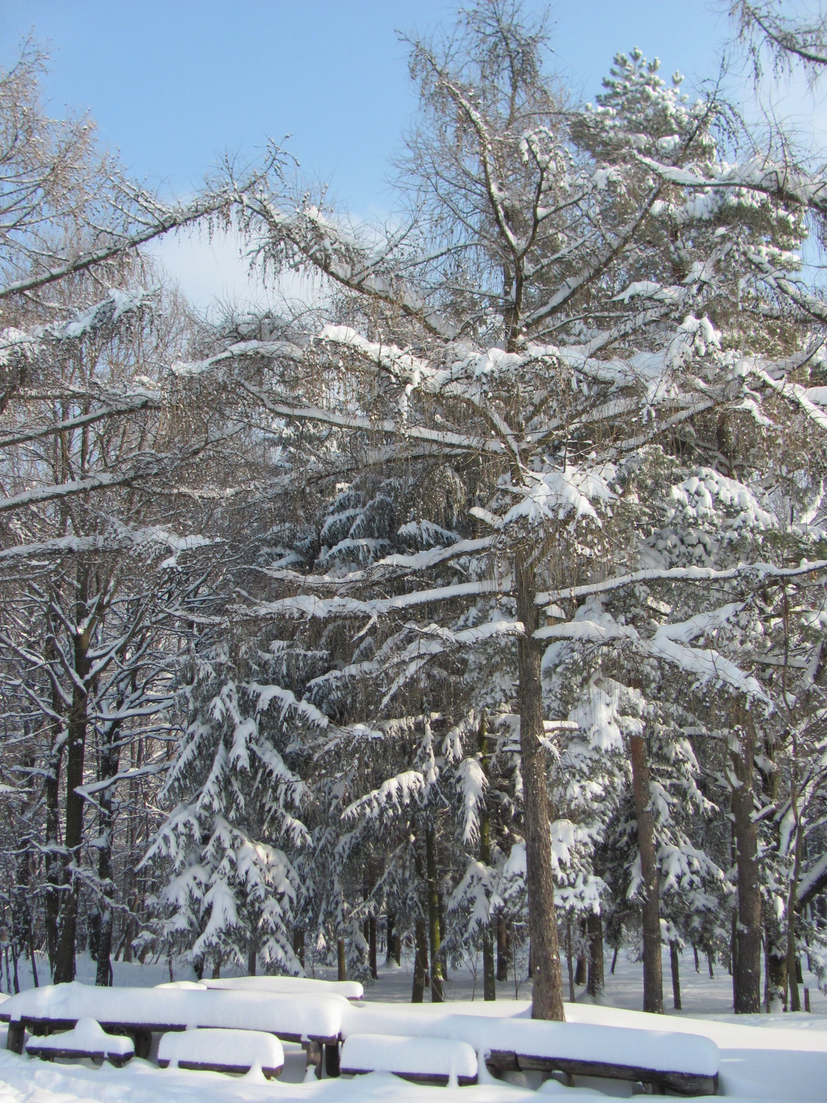 2012.02.05.Vékény-Hosszúhetény 094