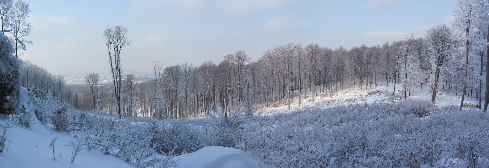 2012.02.05.Kilátás a Dobogó közeléből.