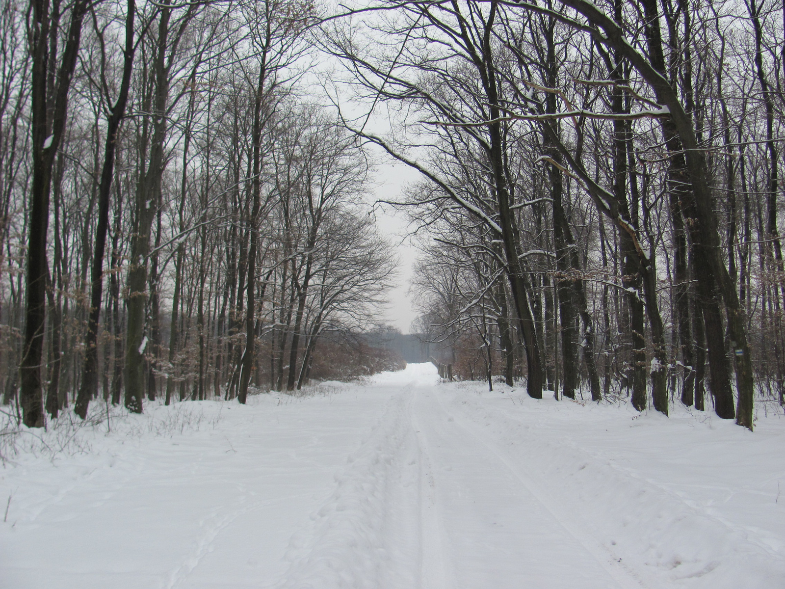 2012.02.11.Mecseknádasd Nyílt túra bejárás 031