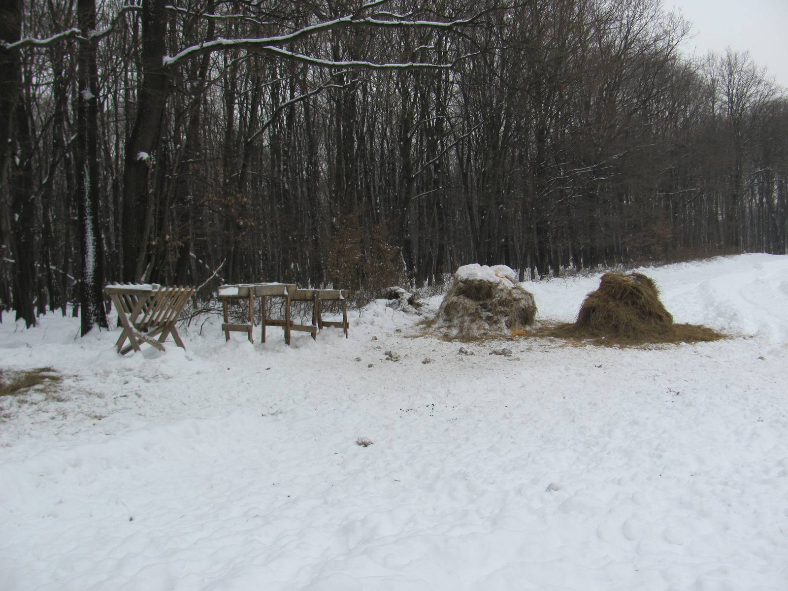 2012.02.11.Mecseknádasd Nyílt túra bejárás 078