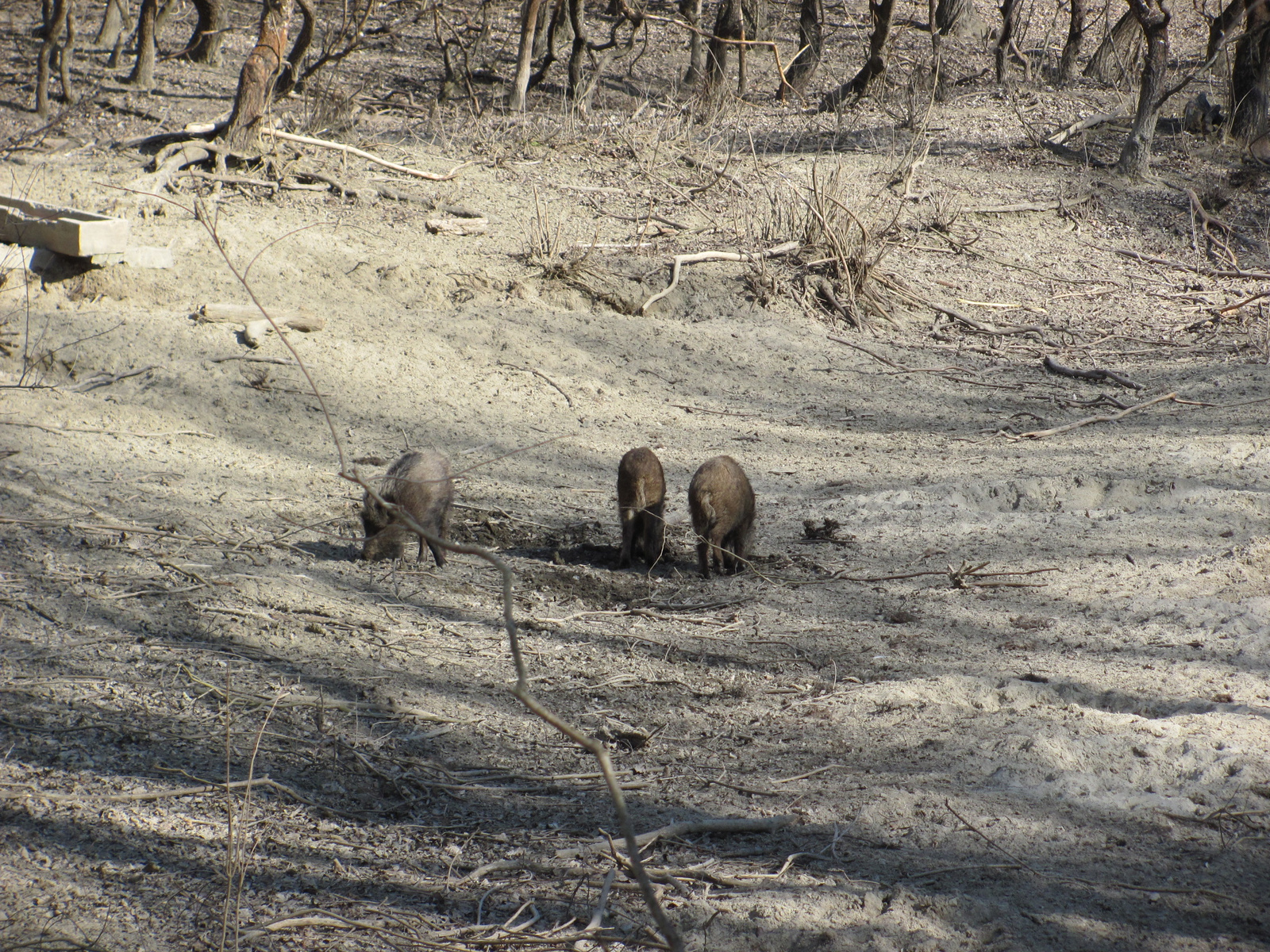 2012.03.16.Gemenc bicaj 079