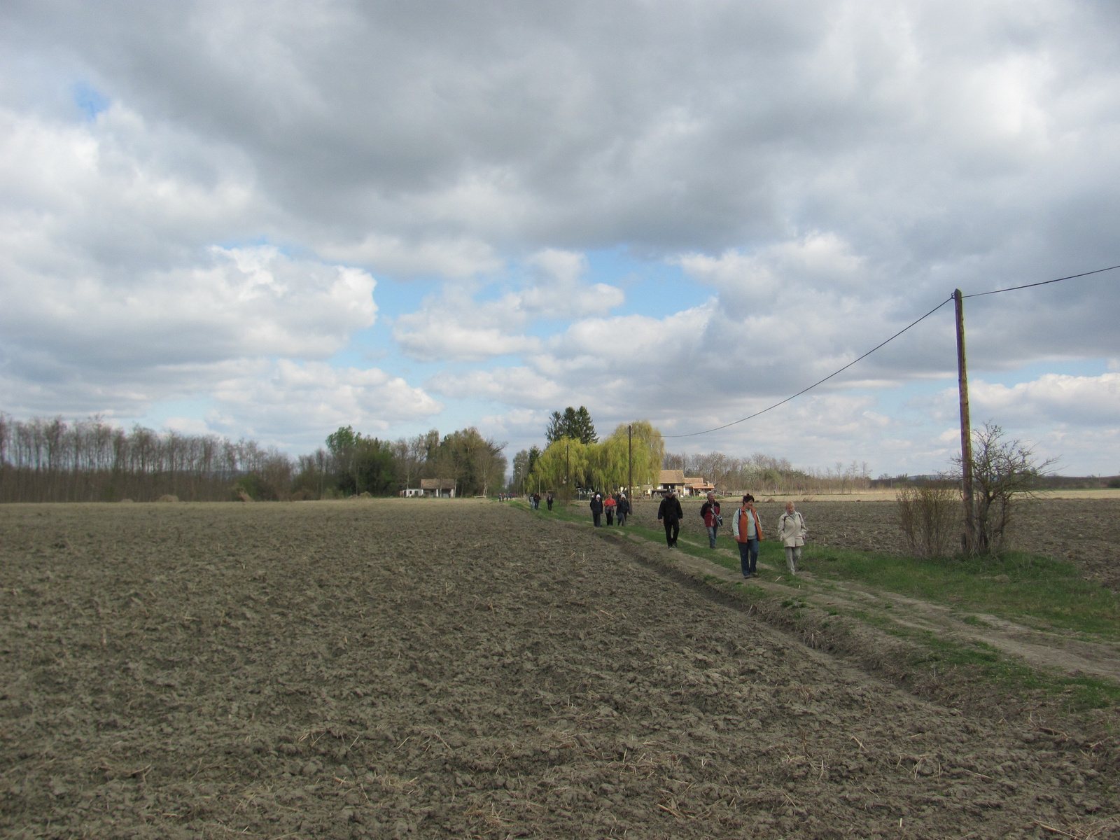 2012.04.01.POEÜ Kockás liliom túra (30)