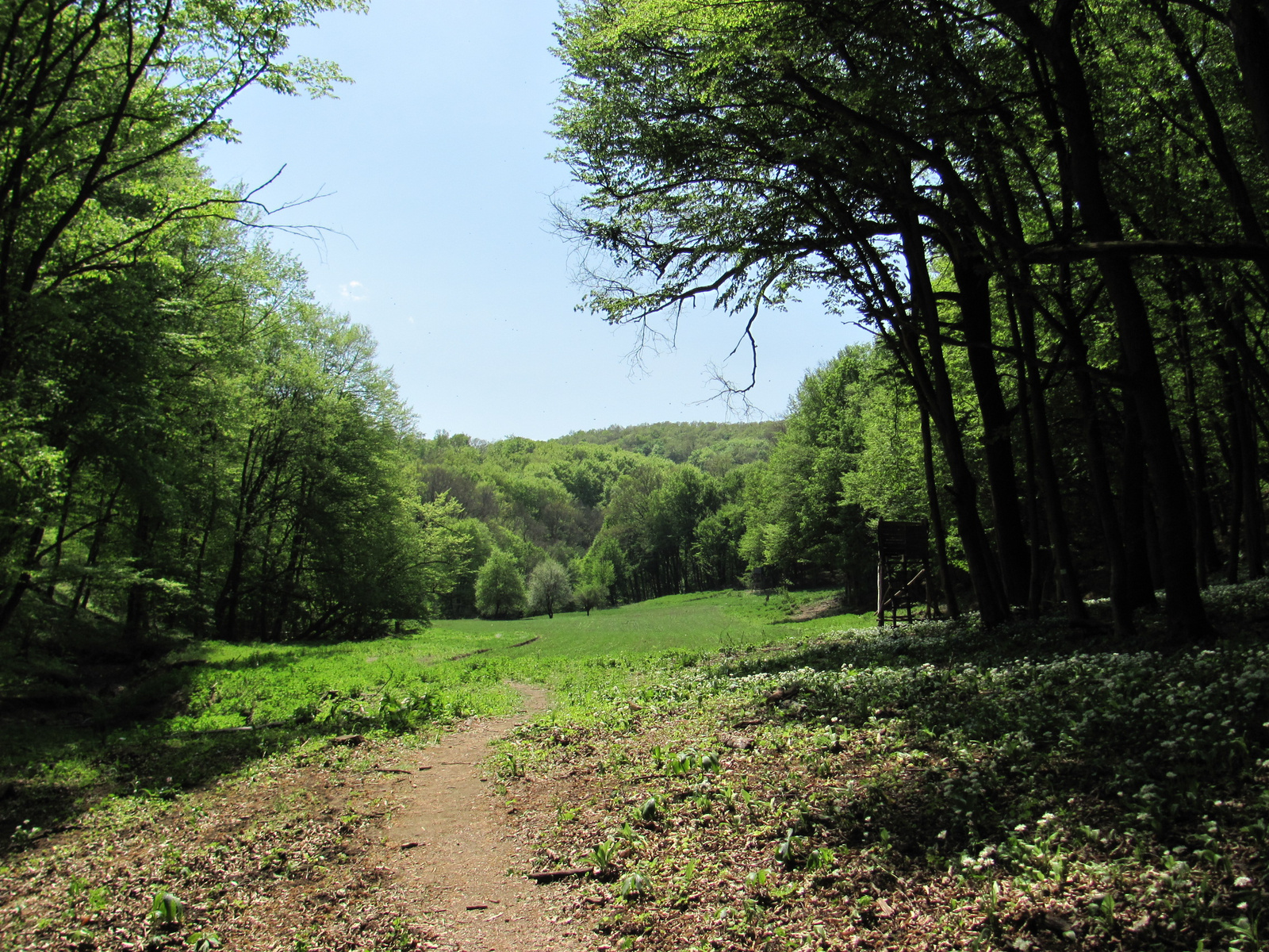 2012.04.30.Mecsek 30 Teljesítménytúra 088