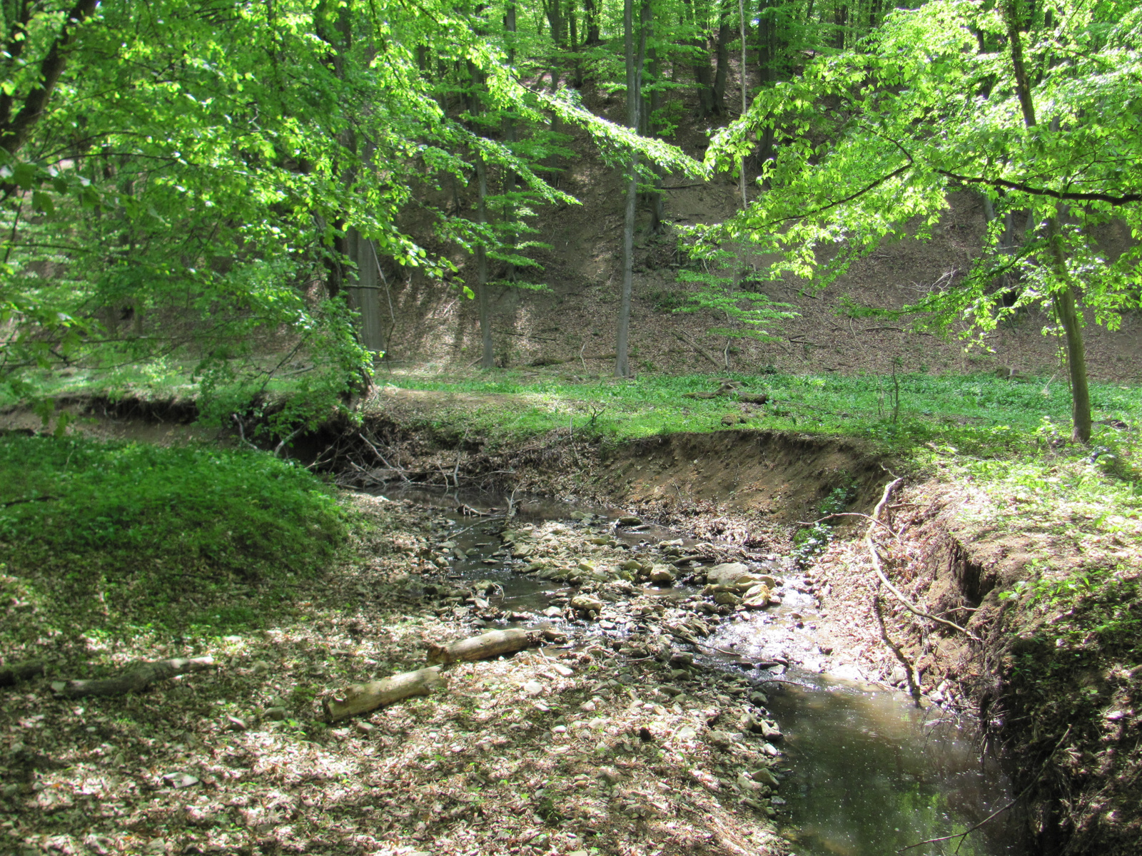 2012.04.30.Mecsek 30 Teljesítménytúra 117