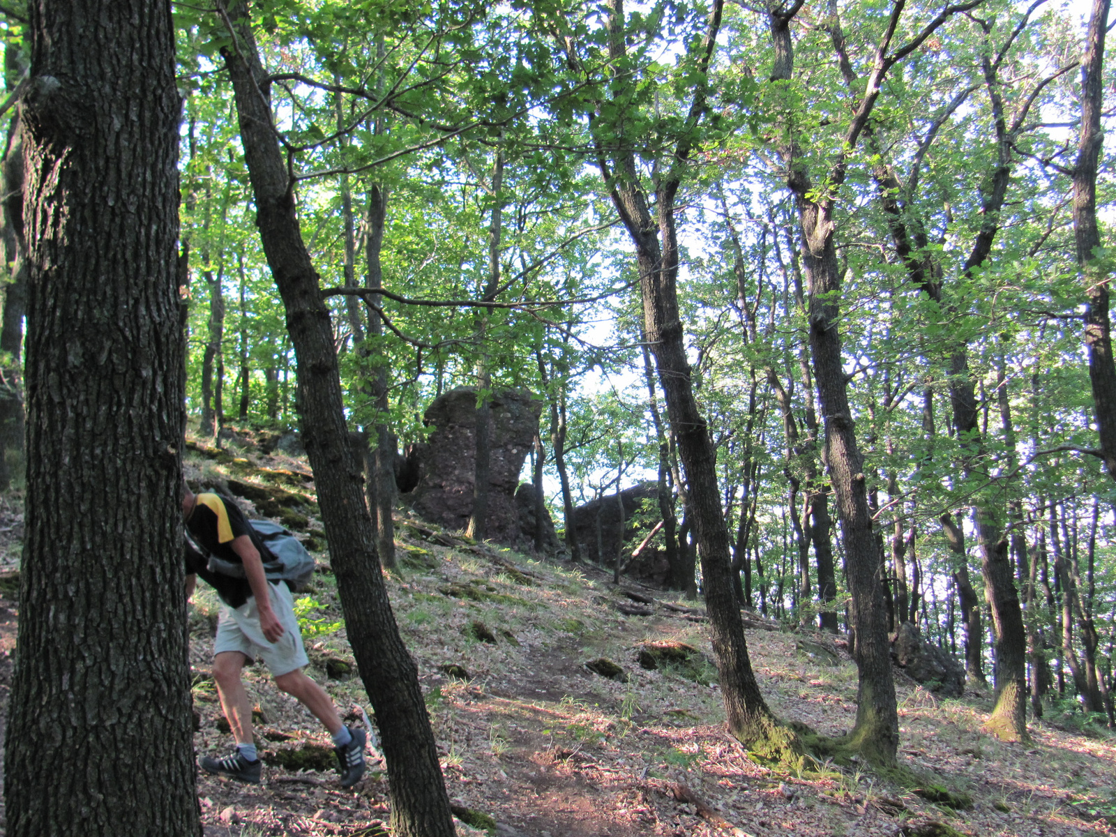 2012.07.14.Kővágószőlős-Pécs geoláda 007