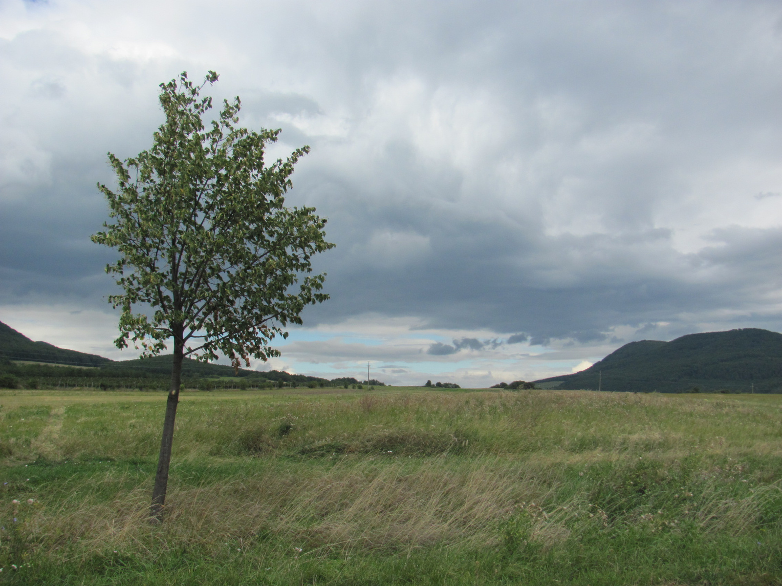 2012.08.13.Füzér-Nagy Milic-Füzér (96)