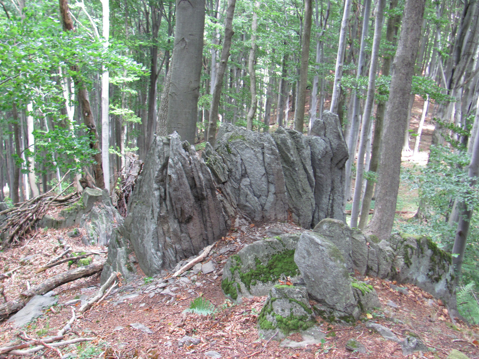 2012.08.13.Füzér-Nagy Milic-Füzér (57)