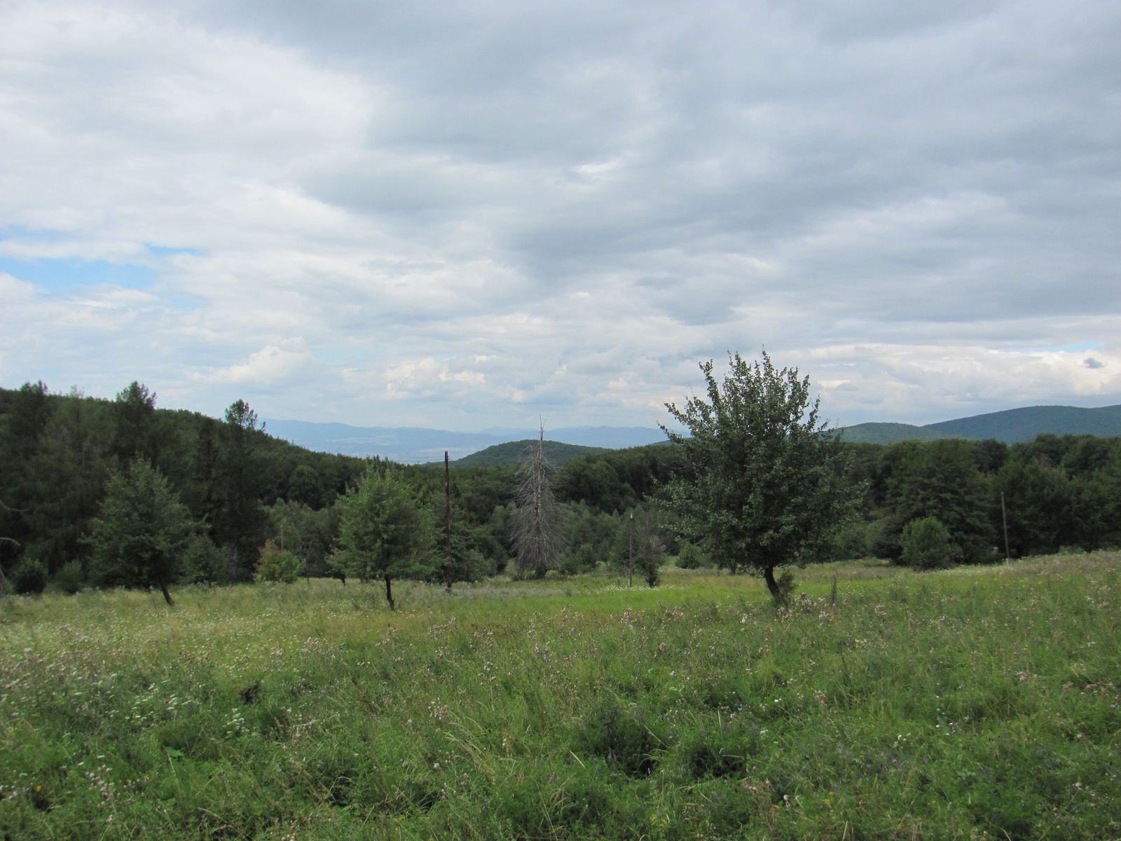 2012.08.13.Füzér-Nagy Milic-Füzér (65)