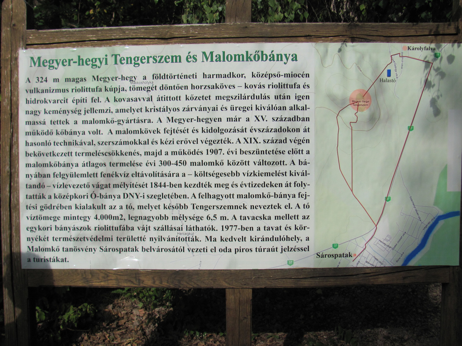 2012.08.13.Sárospatak-Megyer hegy... (4)