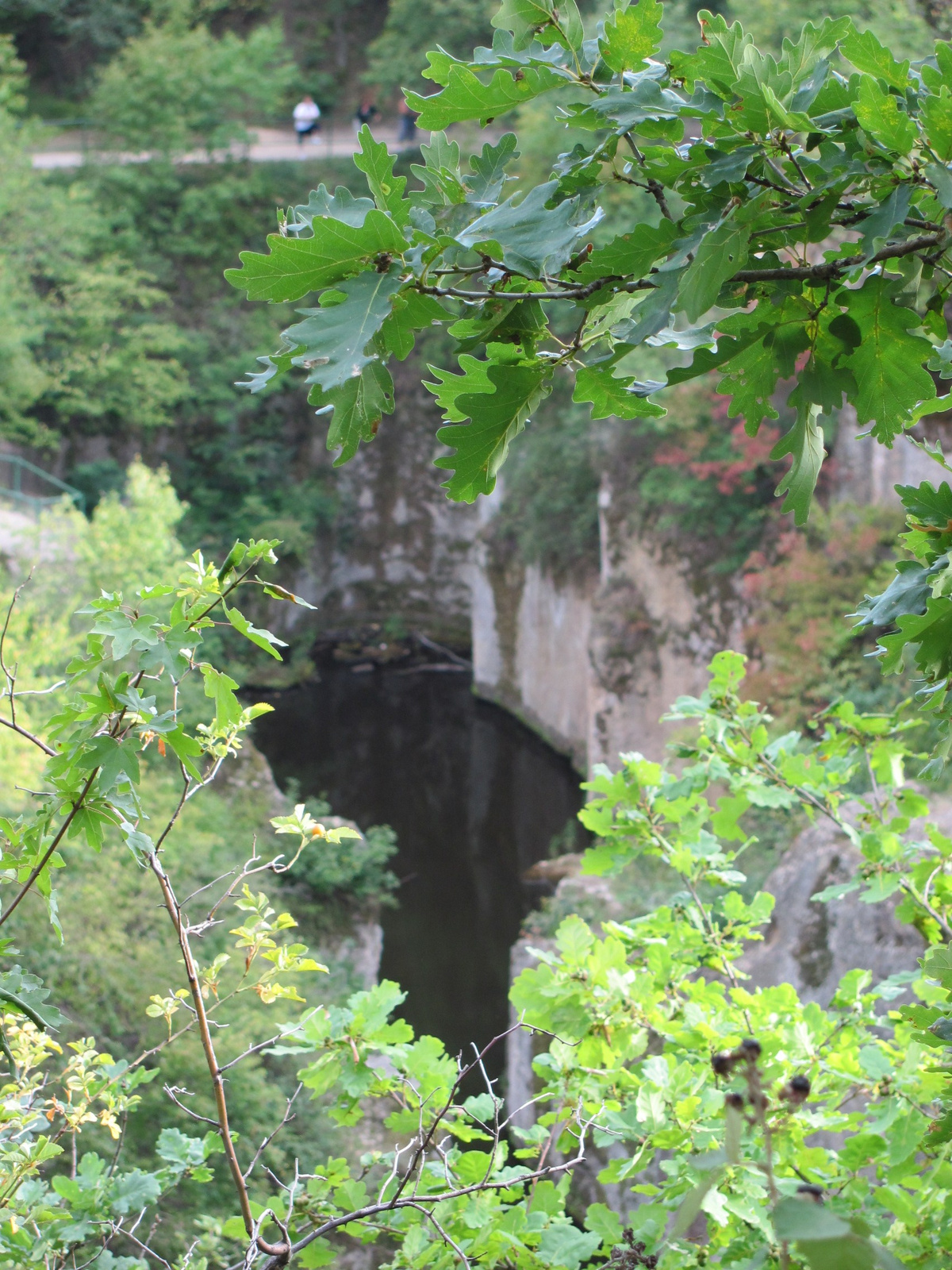 2012.08.13.Sárospatak-Megyer hegy... (18)