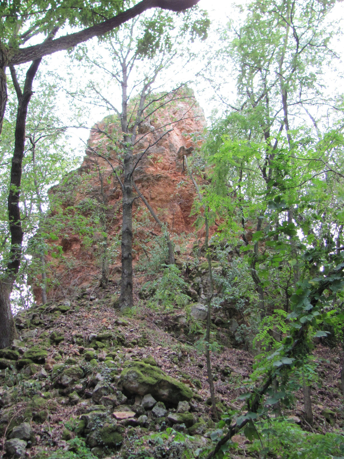 2012.08.13.Sárospatak-Megyer hegy... (32)