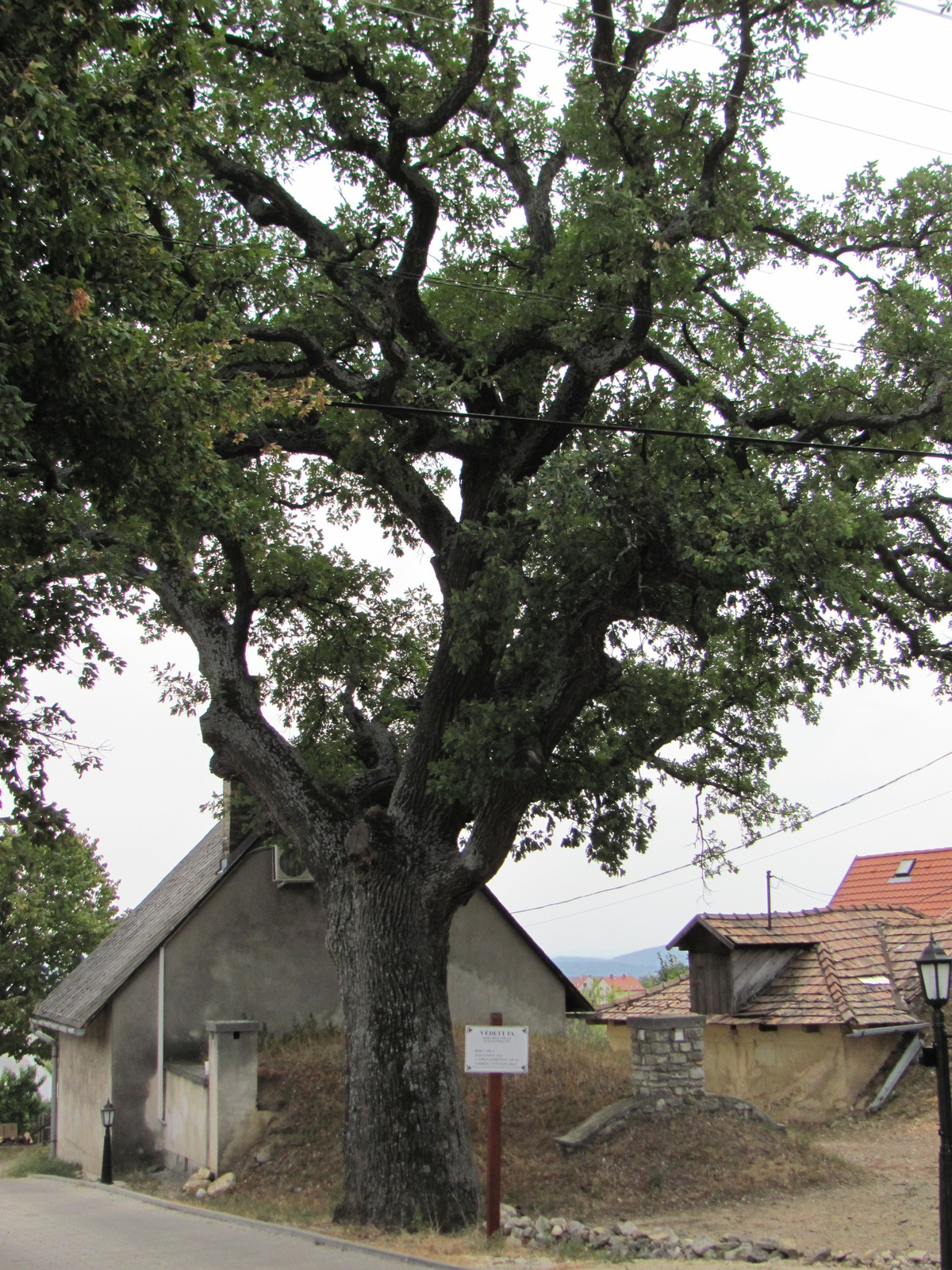 2012.09.12. Balatonfüred