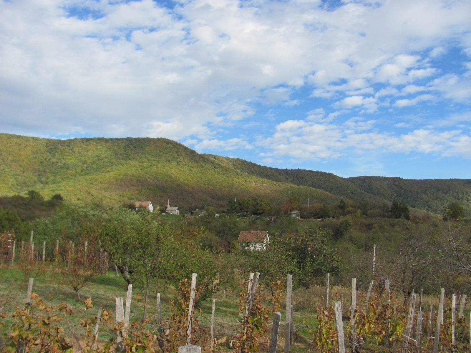 2012.11.04.Fel a Jakab hegyre Pécs-Kővágószőlős 208