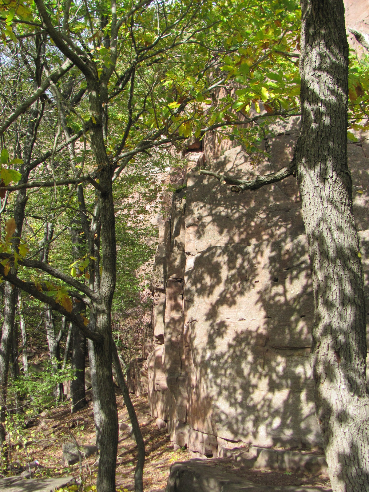 2012.11.04.Fel a Jakab hegyre Pécs-Kővágószőlős 130