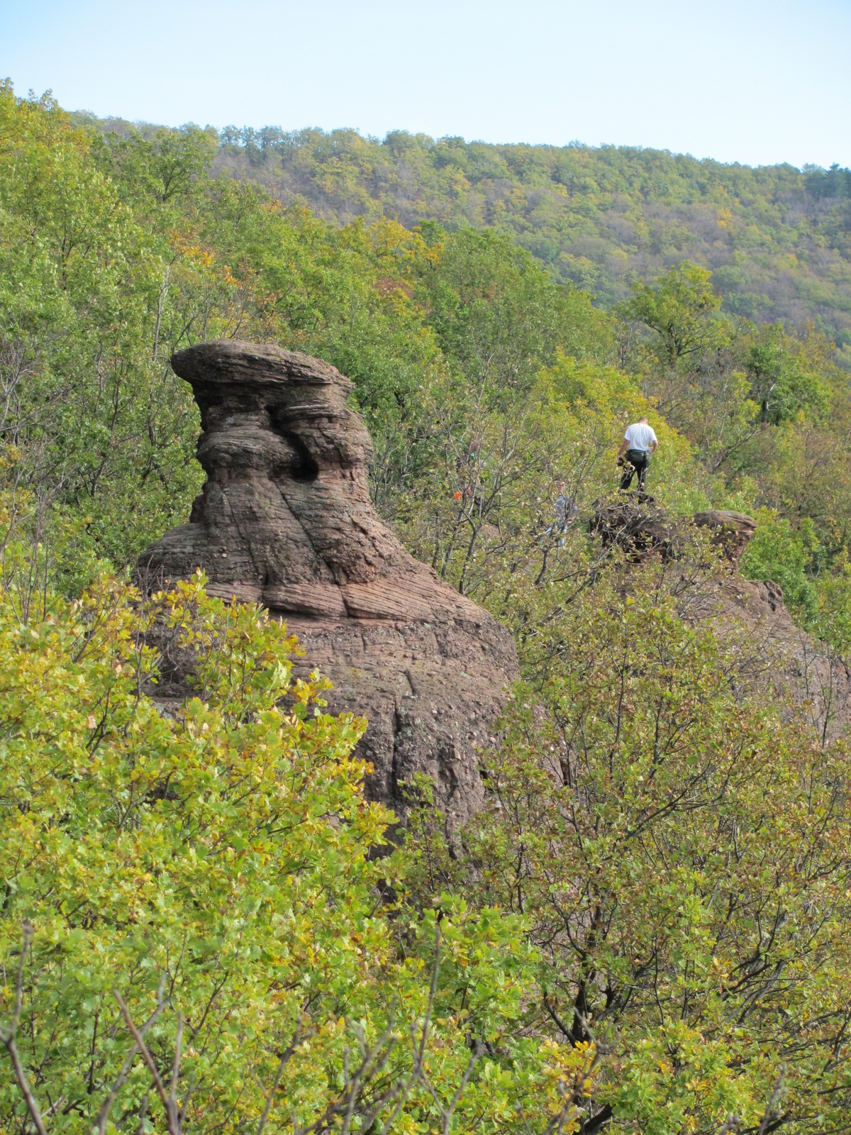 2012.11.04.Fel a Jakab hegyre Pécs-Kővágószőlős 151