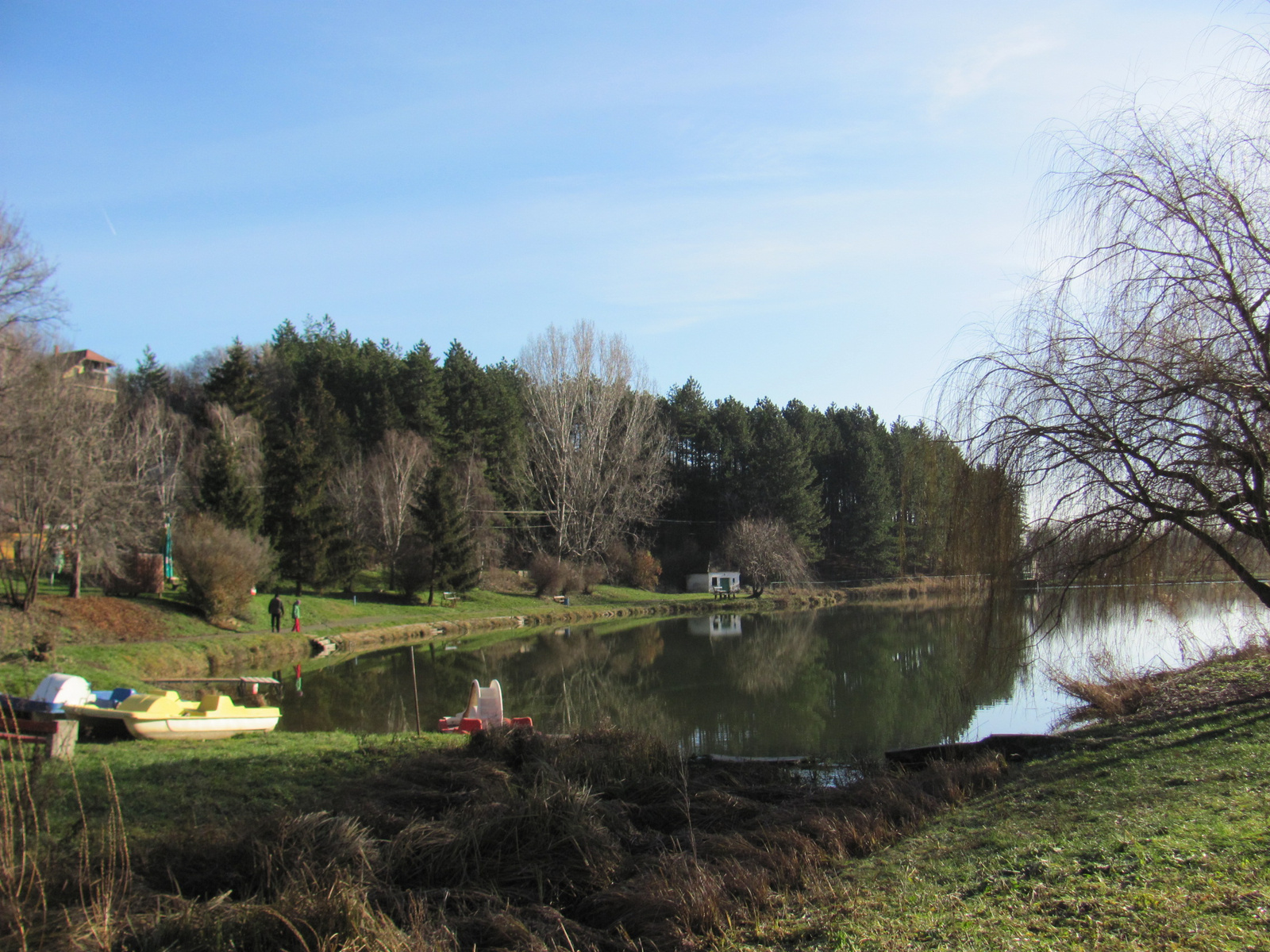 2012.12.29.Dombay tó 25 Teljesitménytúra 061