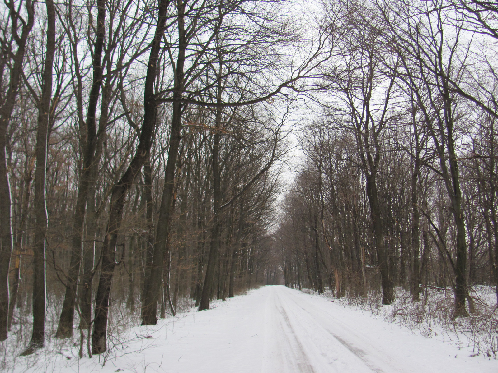 2013.01.26.Pécsvárad-Zobák 005