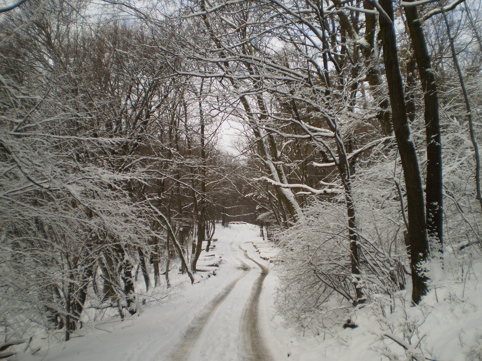 2013.01.26.Pécsvárad-Zobák. 024