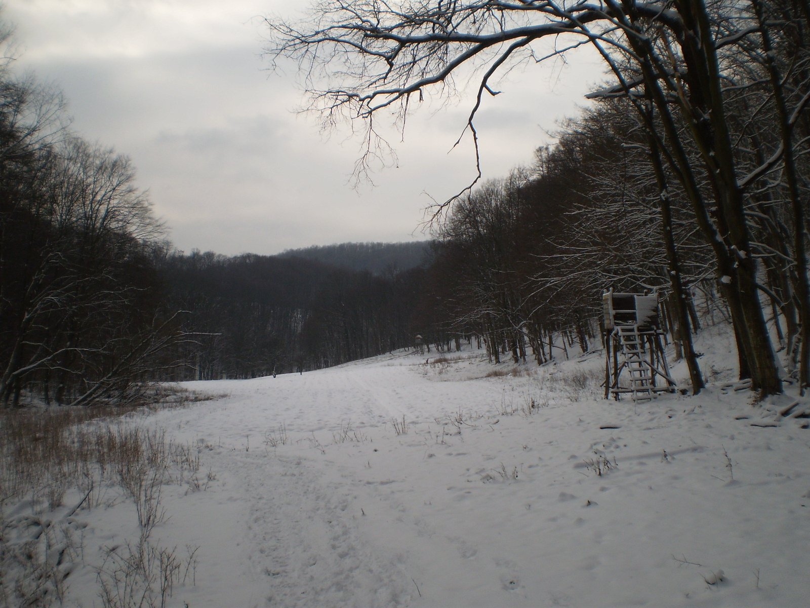 2013.01.26.Pécsvárad-Zobák. 032