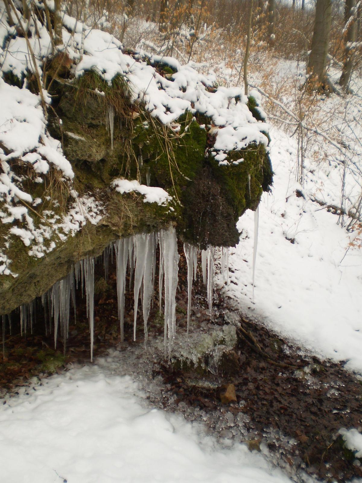 2013.01.26.Pécsvárad-Zobák. 037