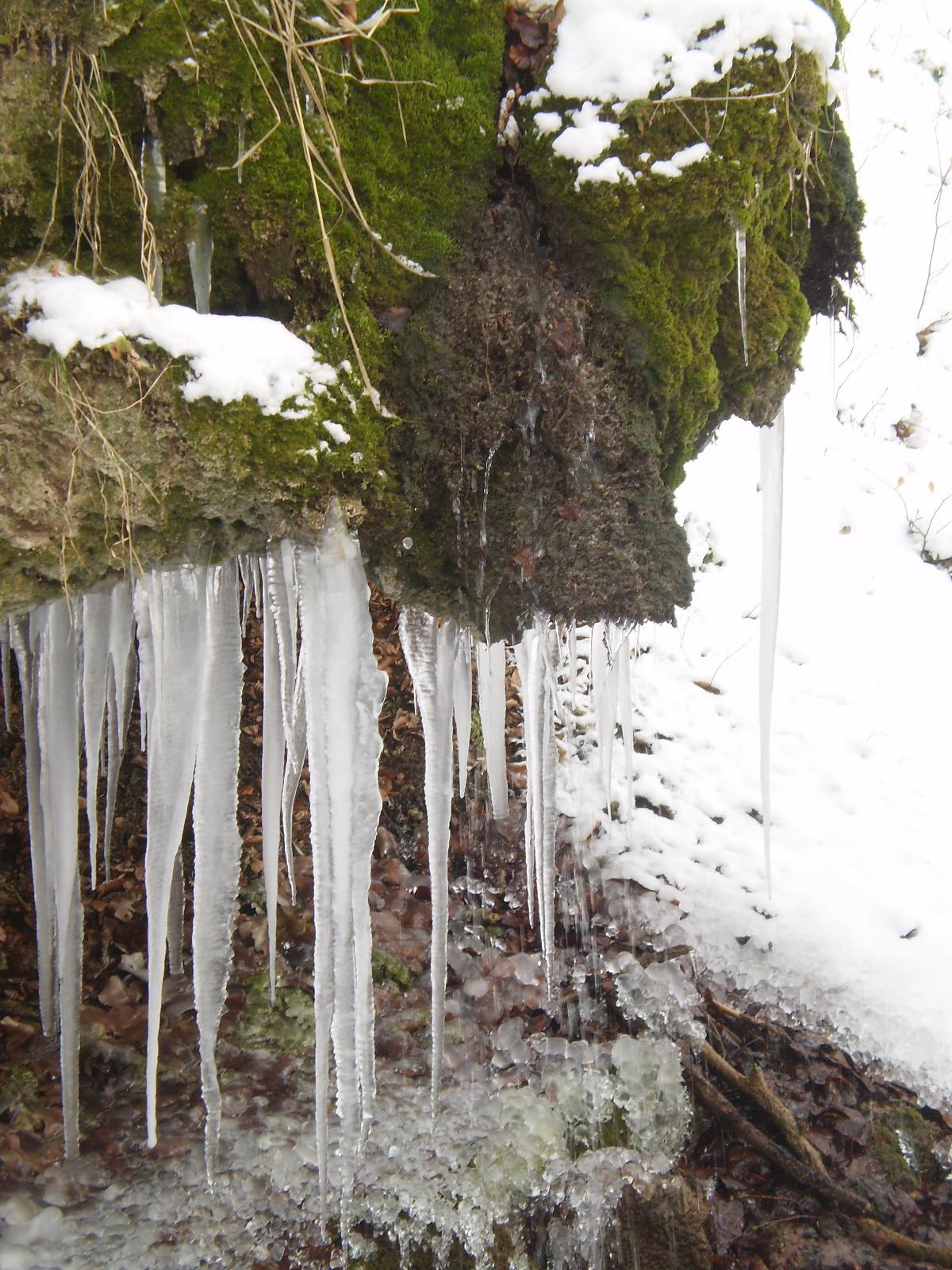 2013.01.26.Pécsvárad-Zobák. 038