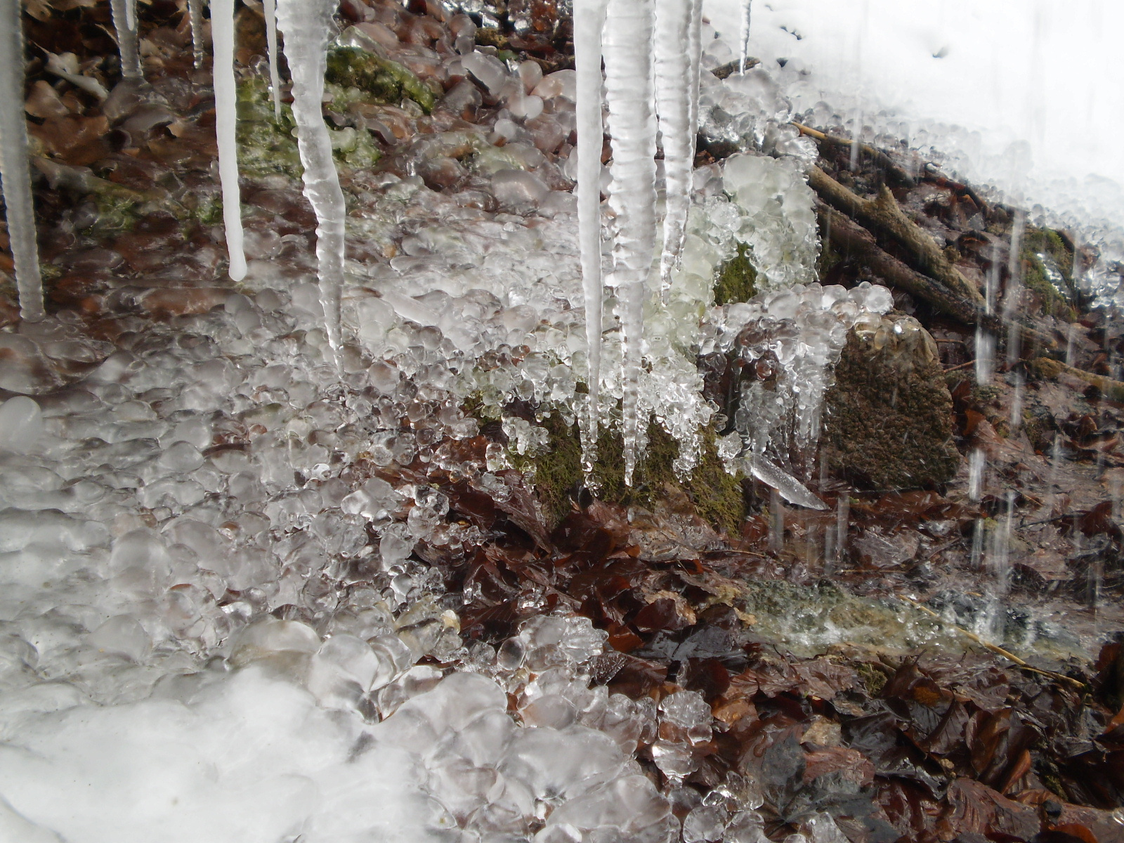 2013.01.26.Pécsvárad-Zobák. 040