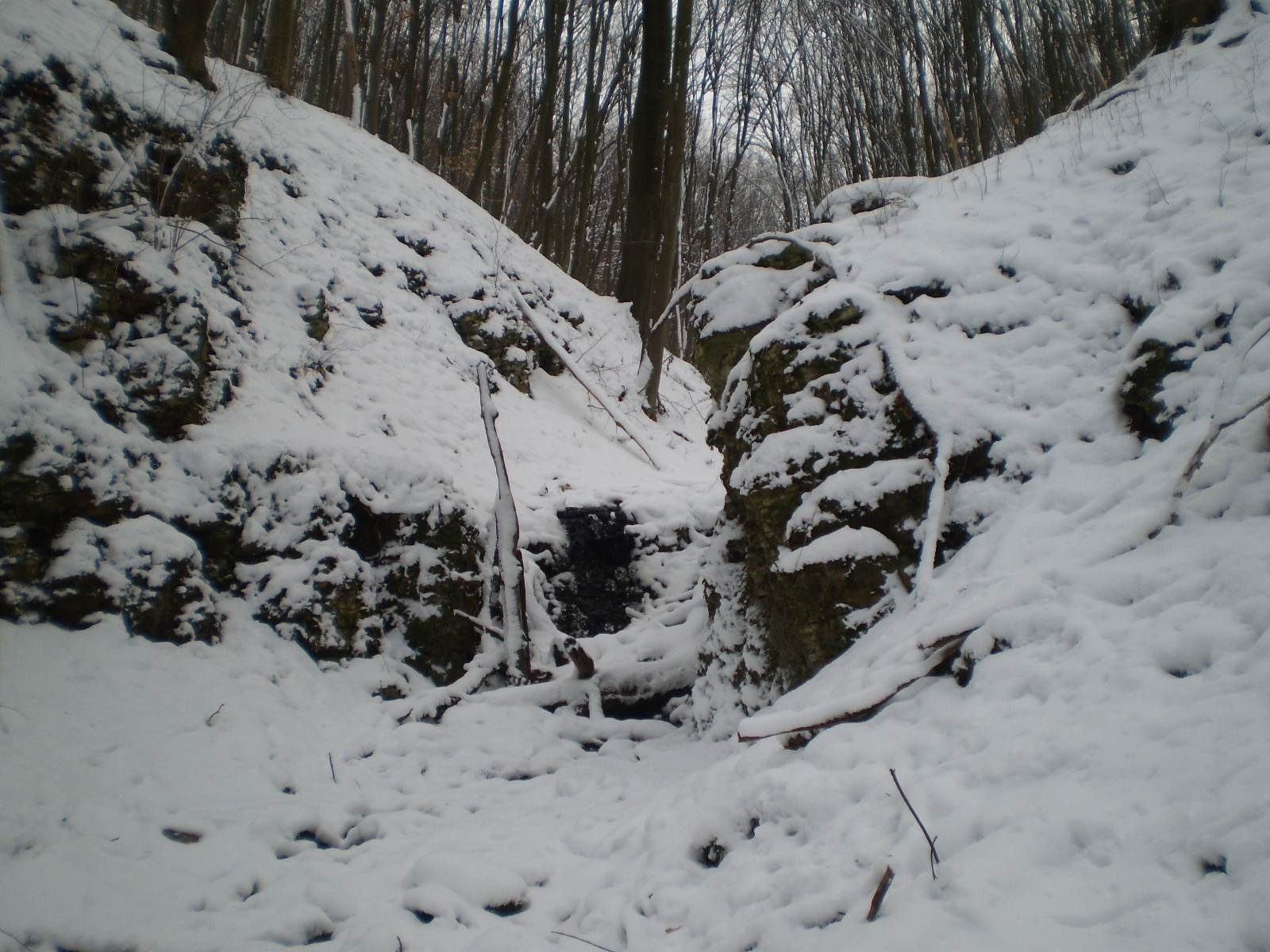 2013.01.26.Pécsvárad-Zobák. 049