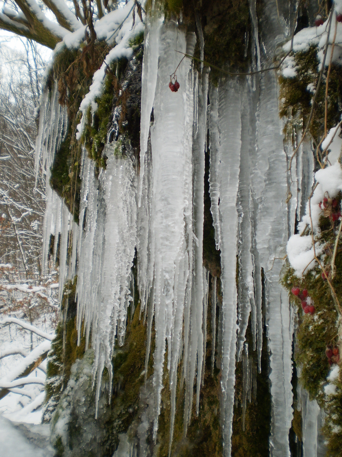 2013.01.26.Pécsvárad-Zobák. 055