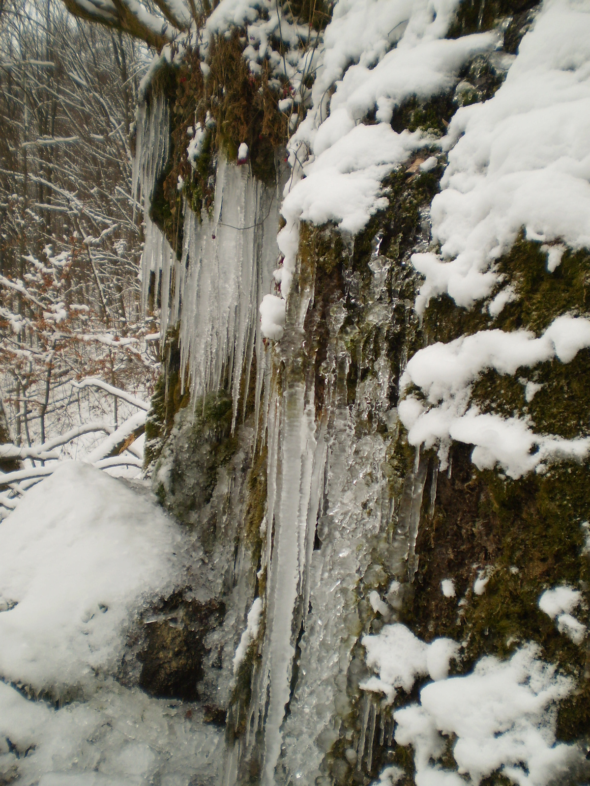 2013.01.26.Pécsvárad-Zobák. 062