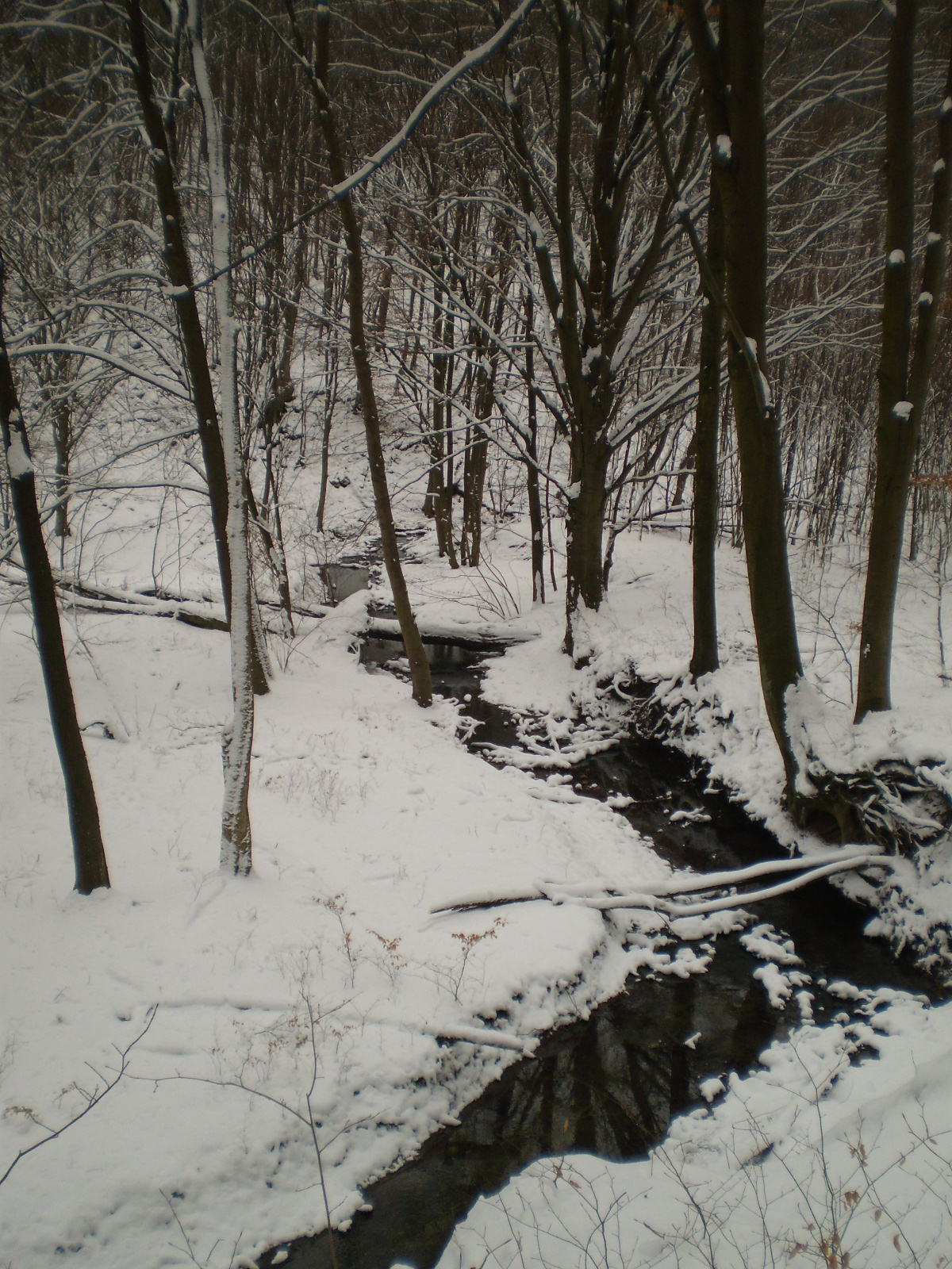 2013.01.26.Pécsvárad-Zobák. 072