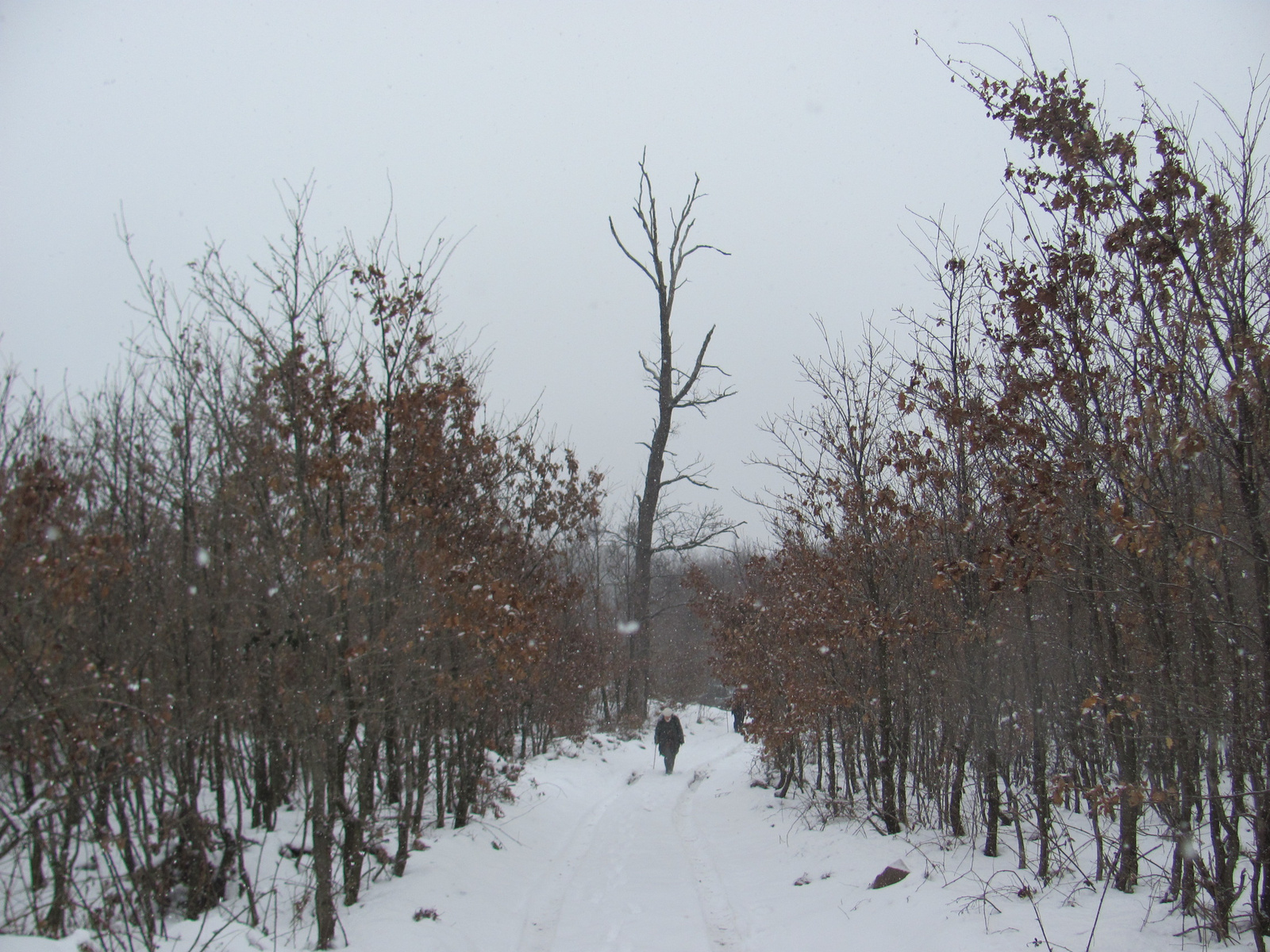 2013.02.09.Abaliget-Éger völgy 060