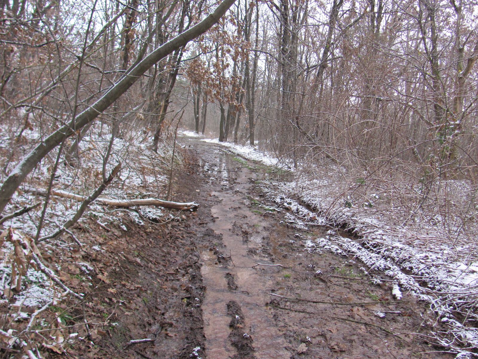 2013.02.09.Abaliget-Éger völgy 098