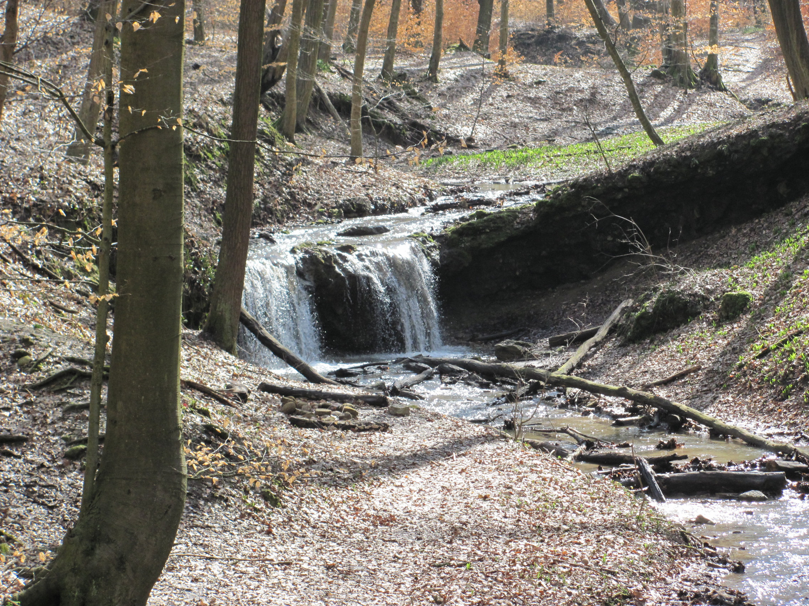 2013.03.02.Melegmány-mély völgy 136