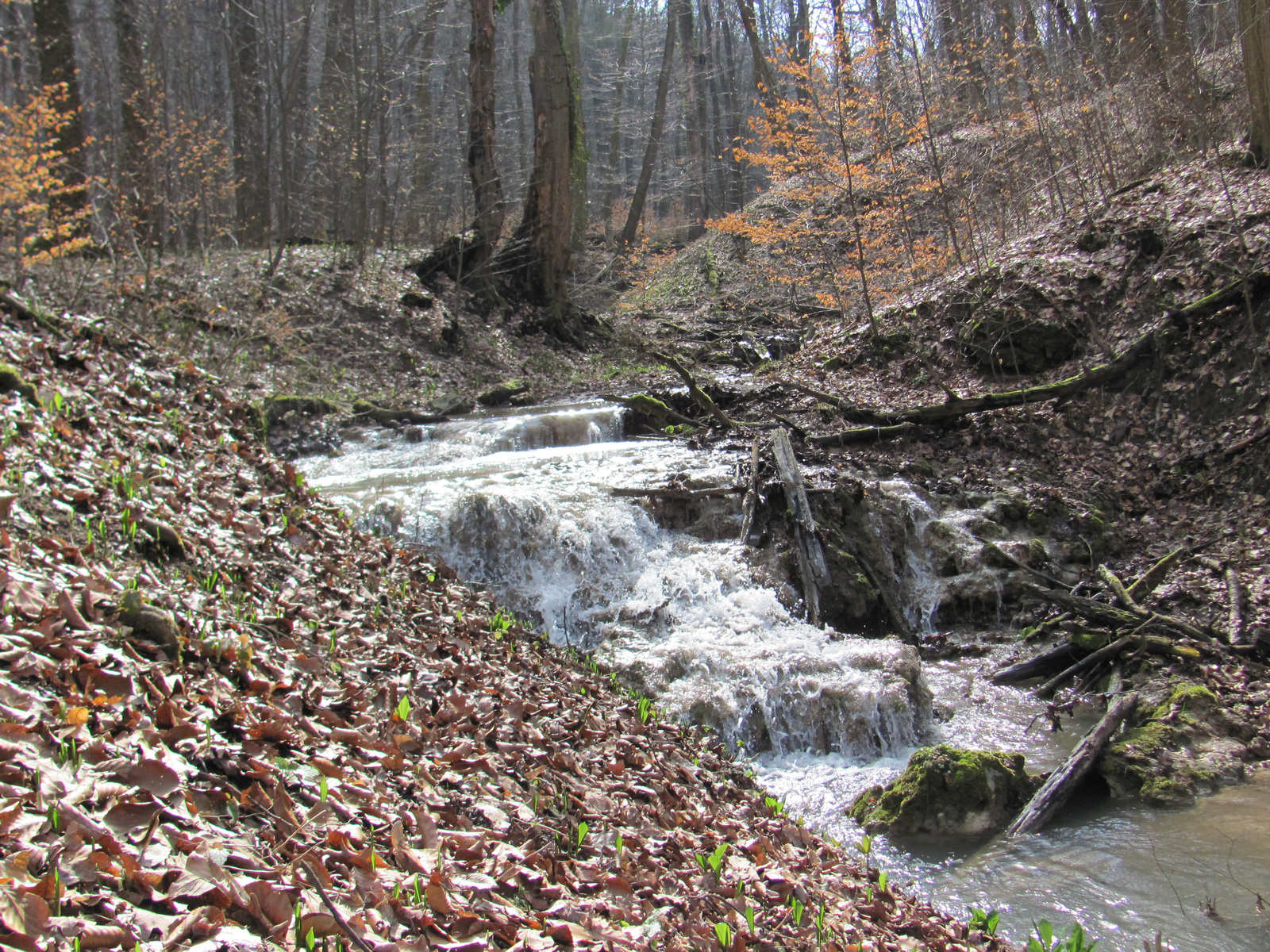 2013.03.02.Melegmány-mély völgy 193