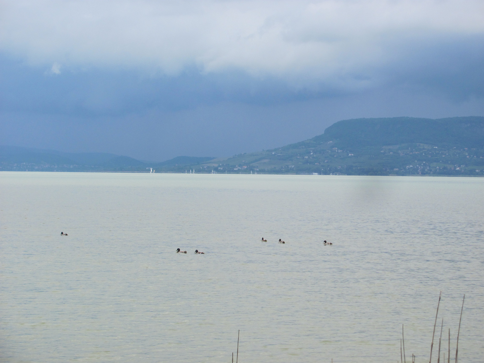 2013.06.01.ULTRABALATON Képekben. 046