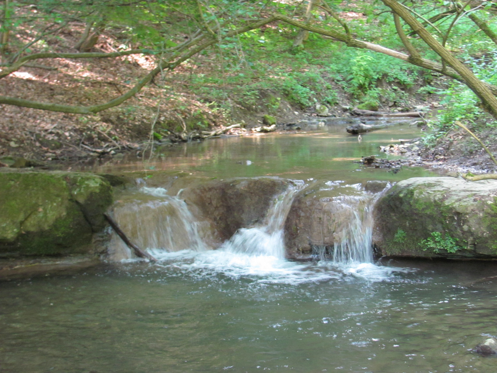 2013.06.29.K.i Mecsek Üveges hétvége (89)