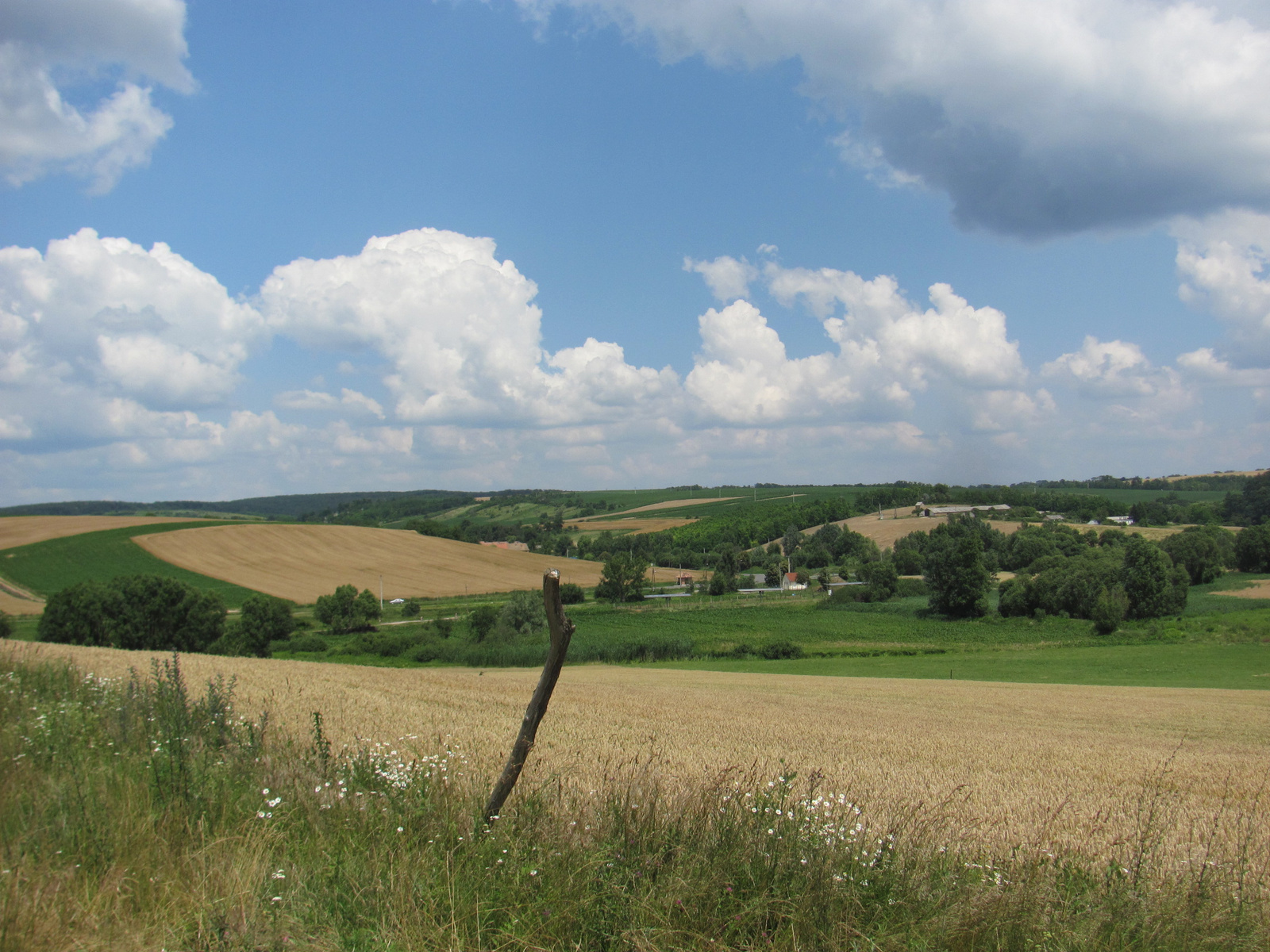 2013.06.30.Geresdi dombság Bicaj Geoláda 114