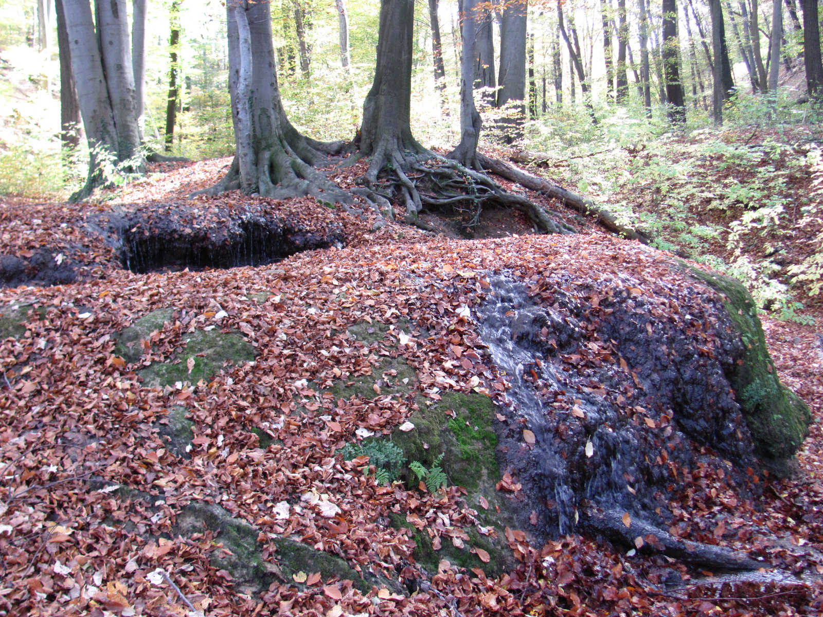 2013.10.24.Melegmány-Mély völgy 045