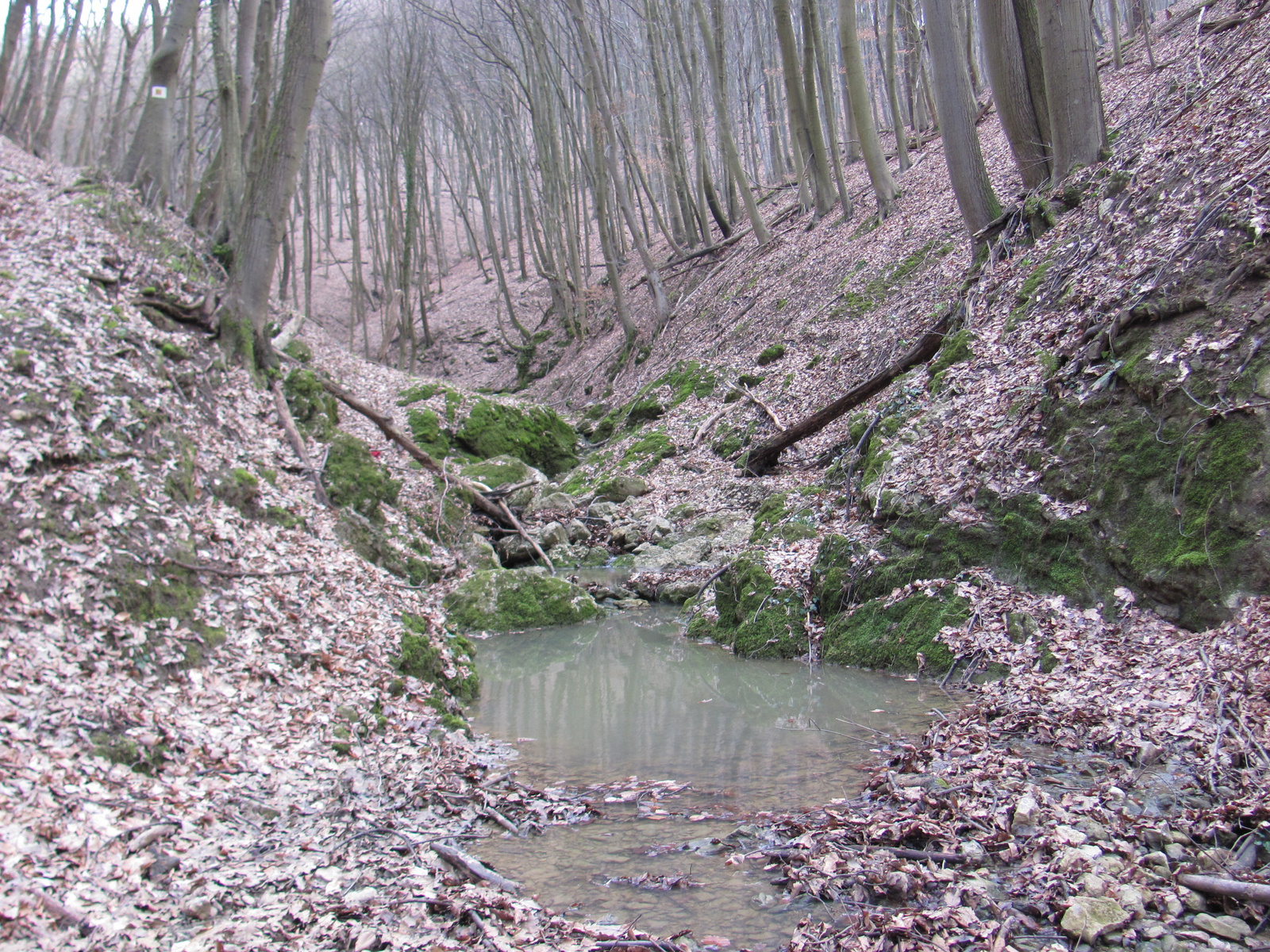 2014.02.16.Büdös kút-Vágot-Lóri-Orfű 077