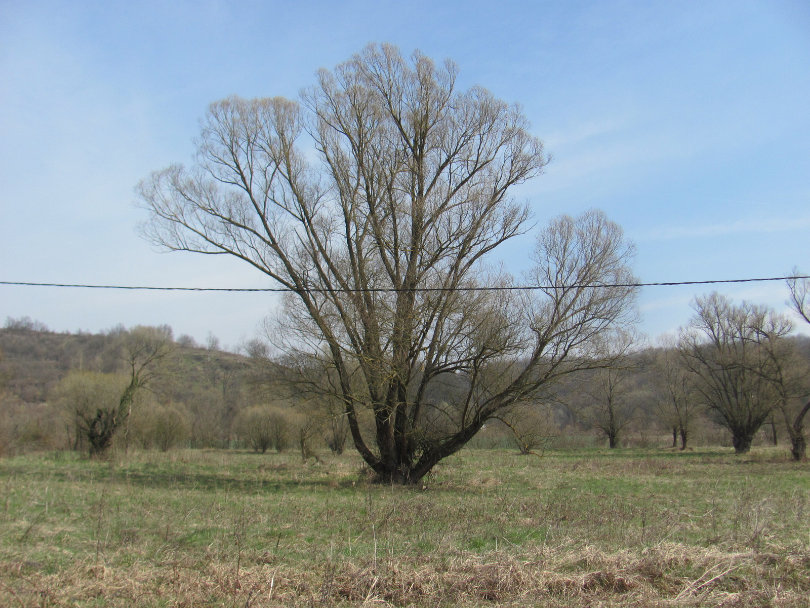 2014.03.15.Abaliget-Husztót-Tekeres 070