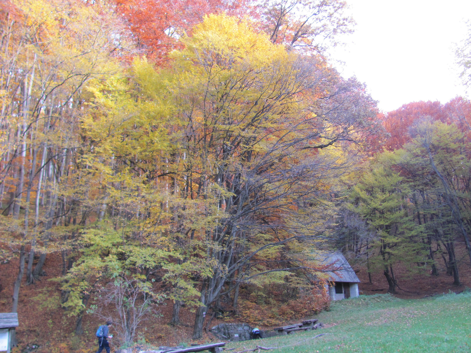 2014.11.08.Mecsek 1000 Teljesítménytúra 117