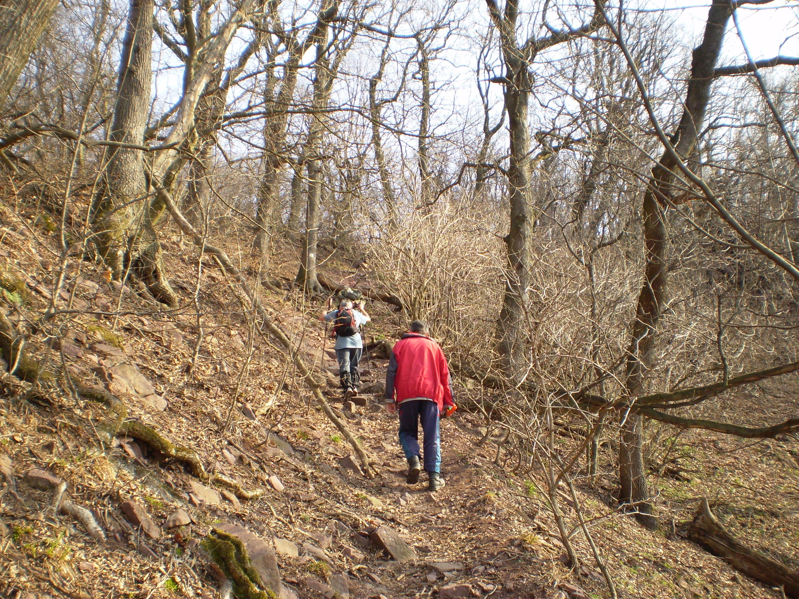 20090315Szuadó40 Bejárás