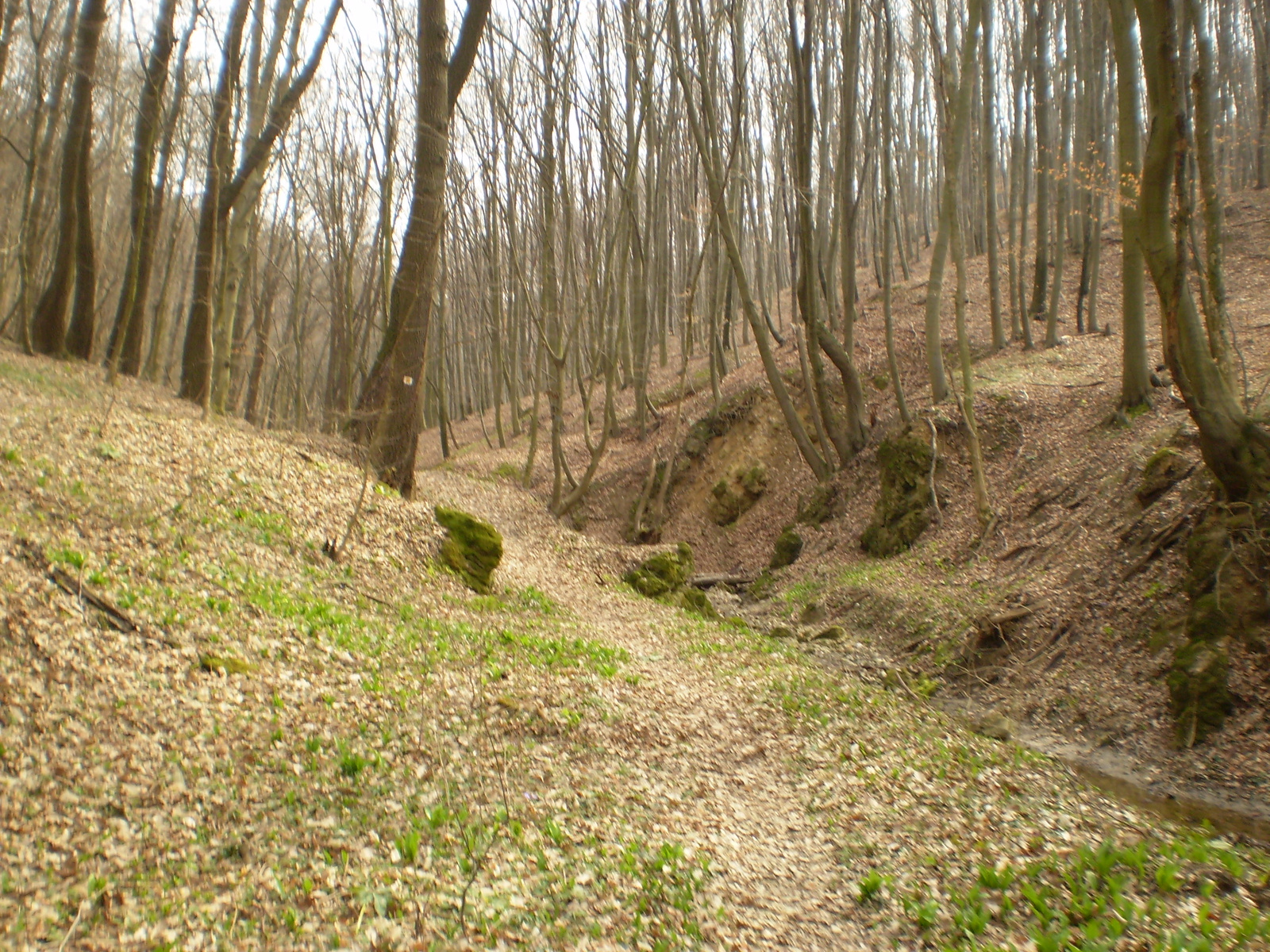 Nagy Kő oldal