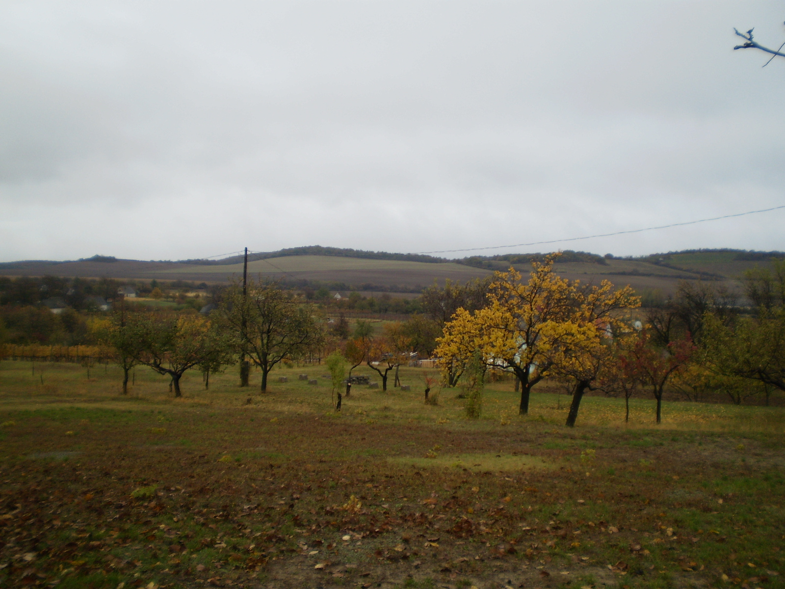 20091107Mecsek 1000 teljesítménytúra 006