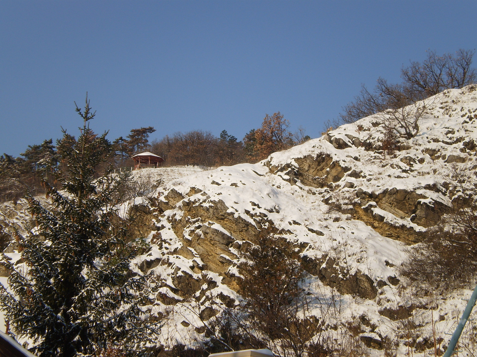 20091220Téli séta a Mecseki parkerdőben 010