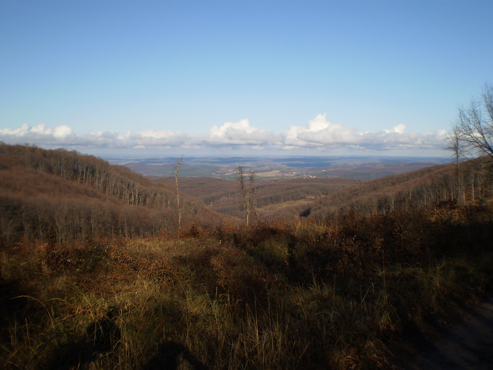 20091226 Jakabhegyi túra 085