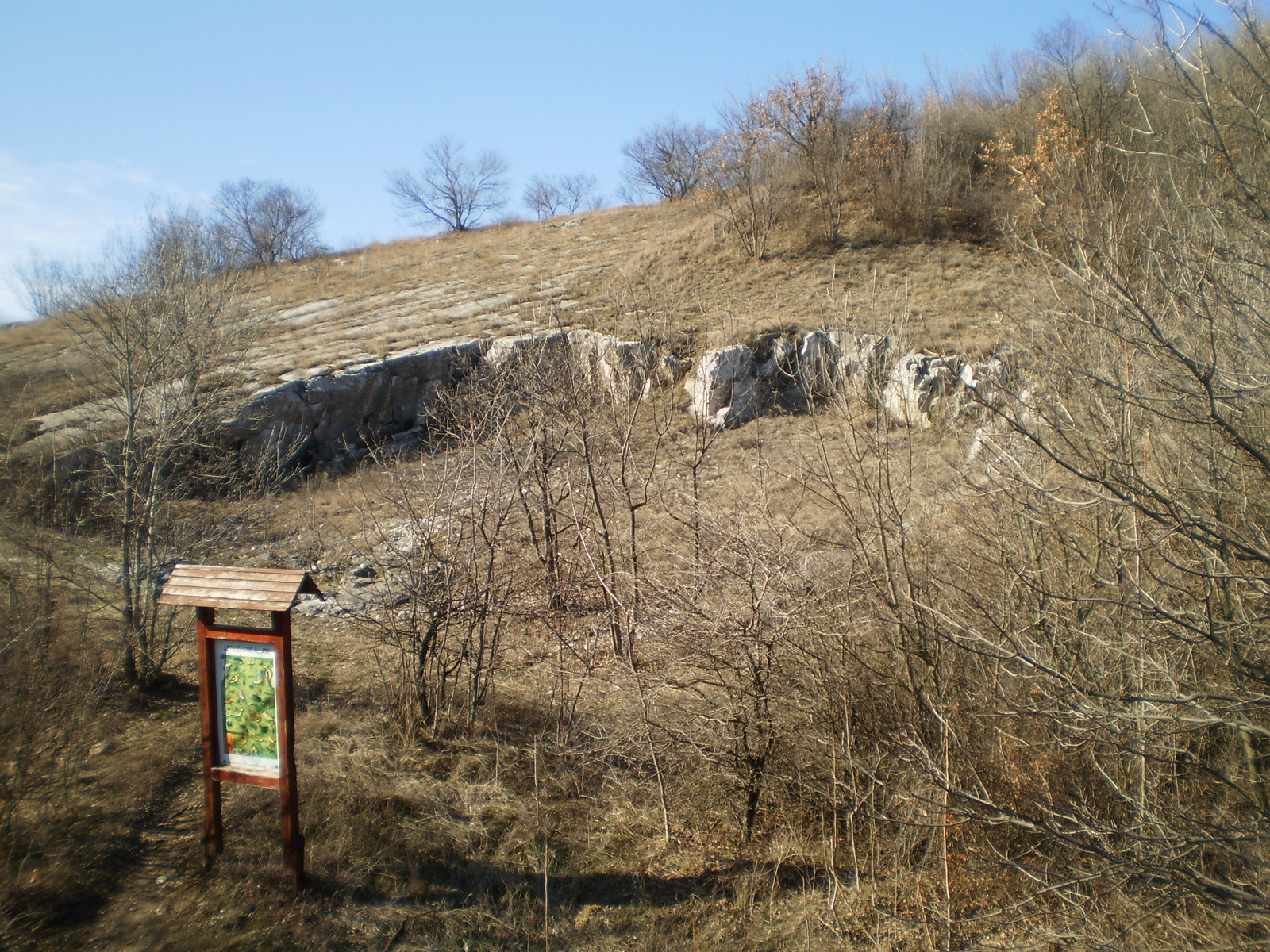 20100227Tenkes Csodabogyó tanösvény